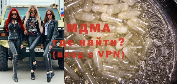 шишки Магас