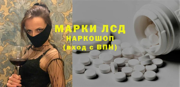 шишки Магас