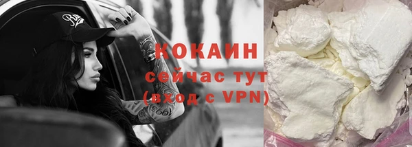 шишки Магас