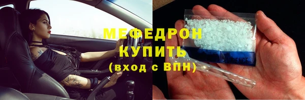 шишки Магас