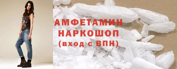 шишки Магас