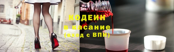 шишки Магас