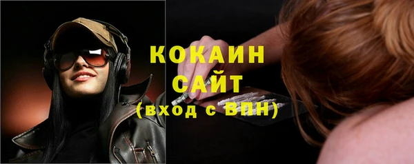 шишки Магас