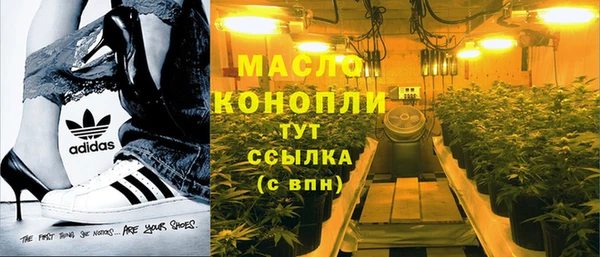 шишки Магас