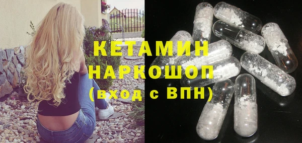 шишки Магас