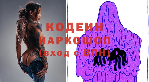 шишки Магас
