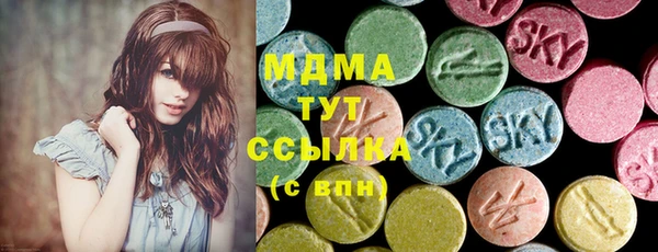 шишки Магас