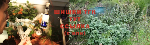 шишки Магас