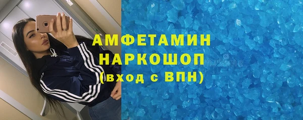 шишки Магас