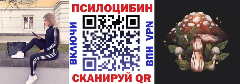 закладки Челябинск Псилоцибиновые грибы MAGIC MUSHROOMS