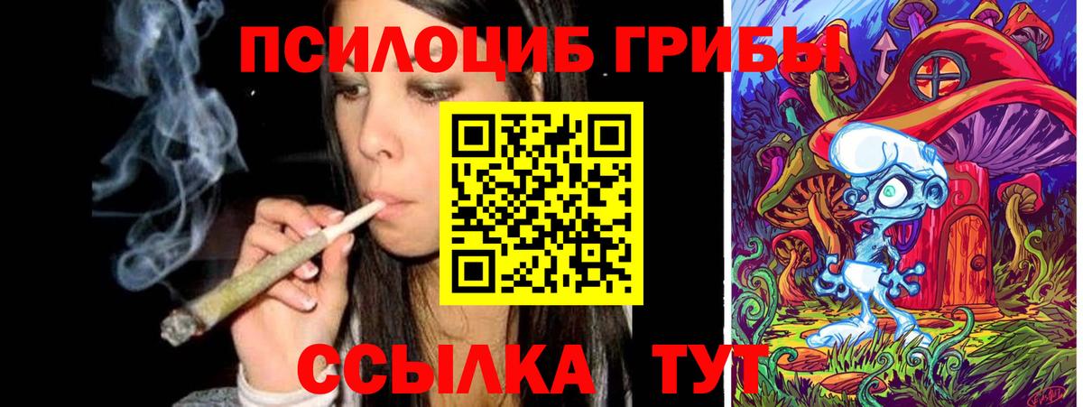 Галлюциногенные грибы Psilocybine cubensis Челябинск