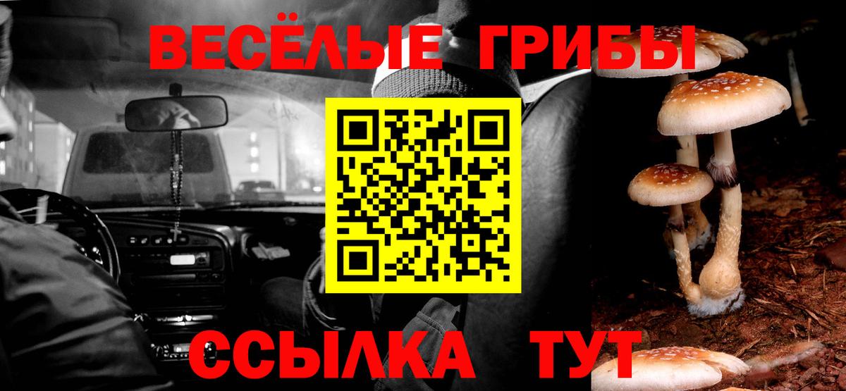 Галлюциногенные грибы GOLDEN TEACHER Челябинск